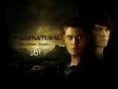 /album/fotos-winchester-jmj/mtd-21-jpg/